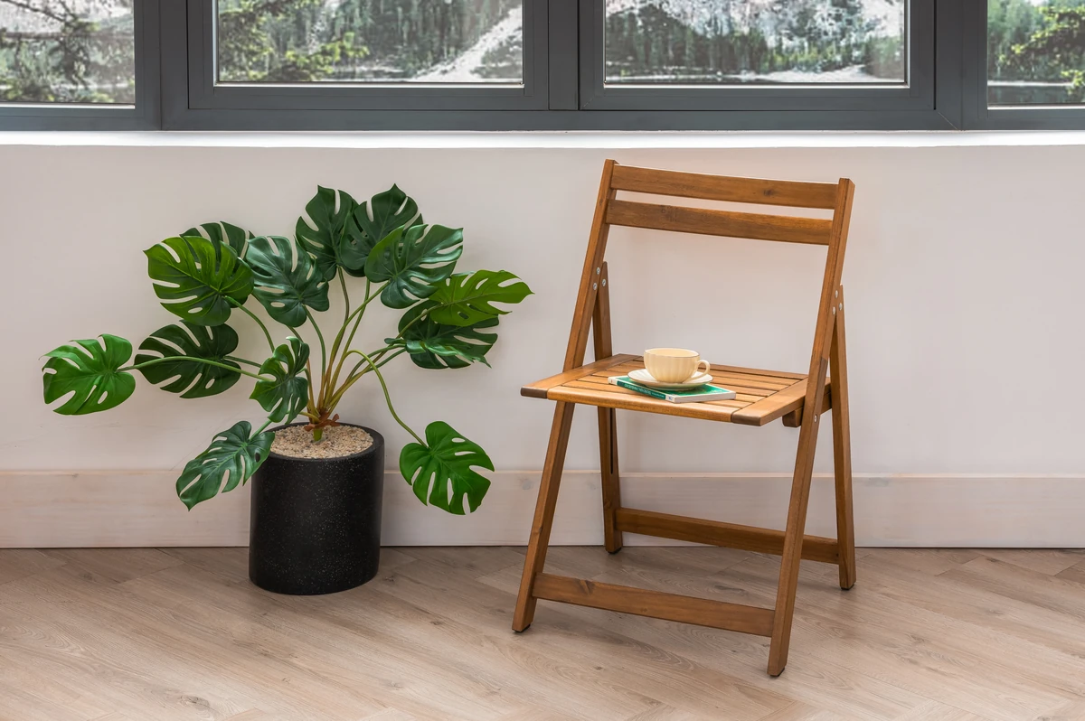 single acacia wood folding chair styled beside a green plant