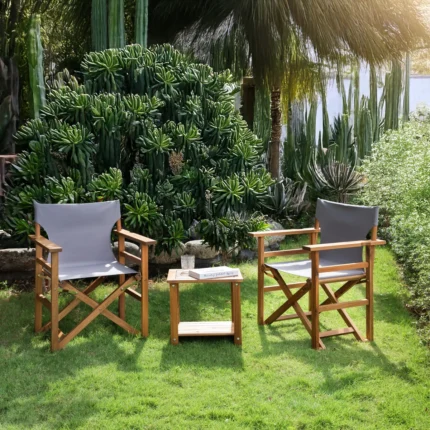 Acacia Wood Director Chair Set of 2