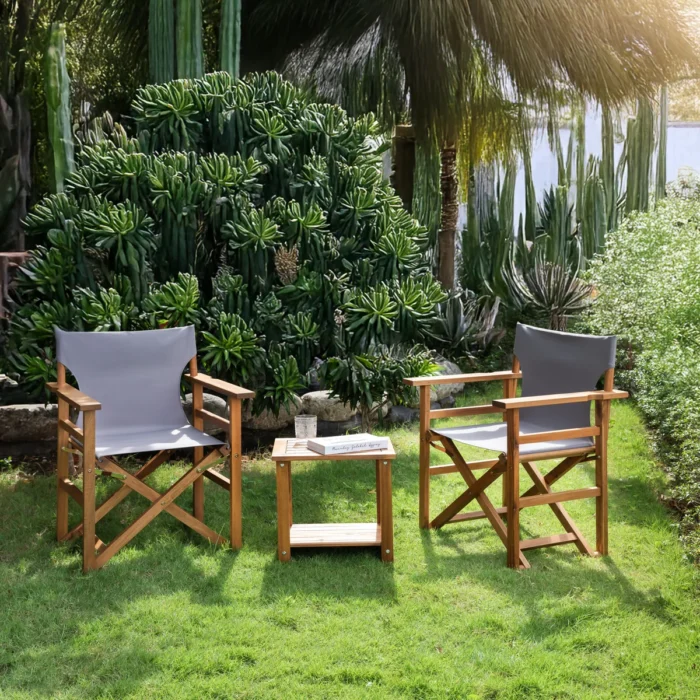 Acacia Wood Director Chair Set of 2