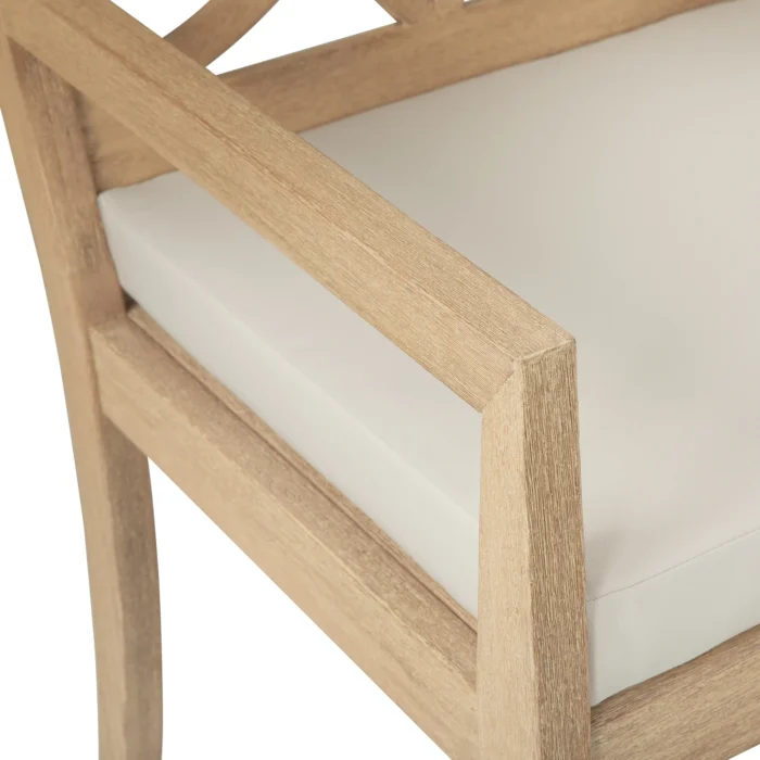 Eucalyptus Patio Dining Chairs with Cushions (Set of 2)