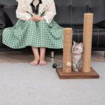 22-Inch Cat Scratching Post Solid Wood Sisal Scratcher