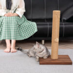 22-Inch Cat Scratching Post Solid Wood Sisal Scratcher