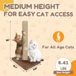 22-Inch Cat Scratching Post Solid Wood Sisal Scratcher