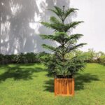 Acacia Wood Planter Box, 14 Inch for Garden