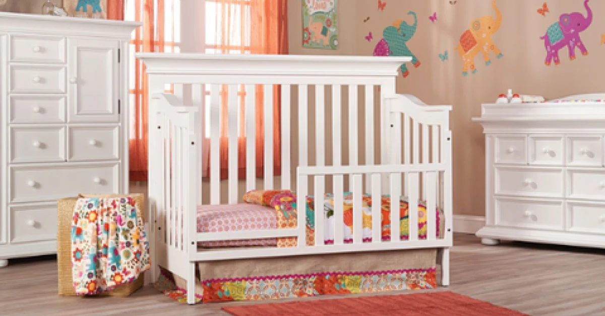 Birch Wood: Characteristics, Benefits, and Applications