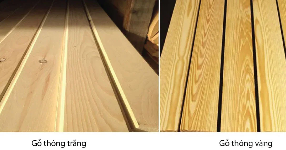 Pine Wood: Characteristics, Advantages, and Applications