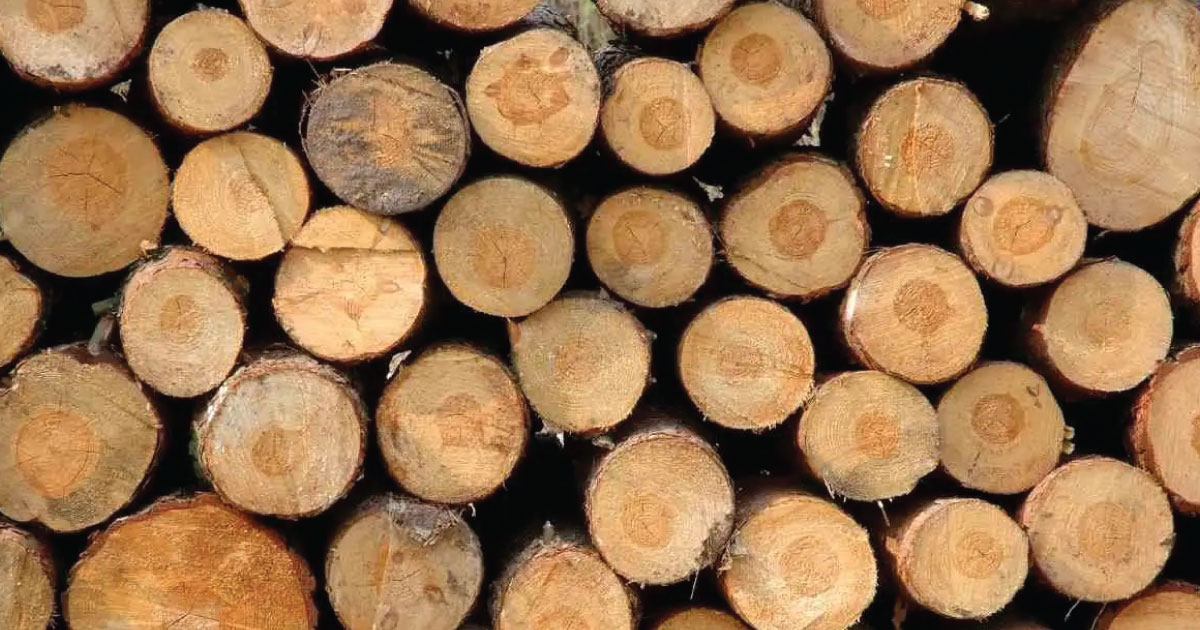 Solid Wood vs. Engineered Wood Which One Should You Choose 3