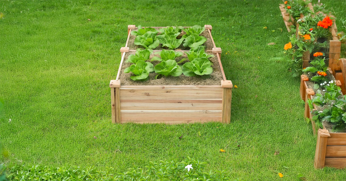 Aurora Raised Garden Bed – Durable, Stylish & Space-Saving Gardening Solution 2 Aurora Raised Garden Bed – Durable, Stylish & Space-Saving Gardening Solution