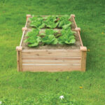 Aurora Raised Garden Bed – Durable, Stylish & Space-Saving Gardening Solution