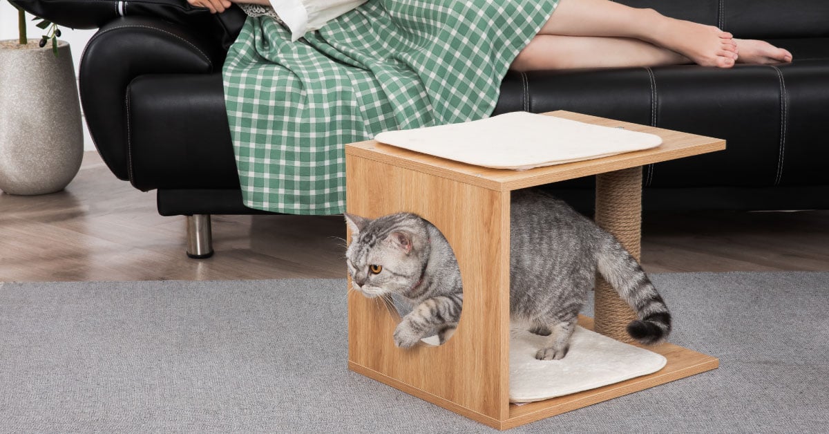 Cat Scratcher and Tree – Durable Scratching Post & Activity Tree for Healthy Cats 1 Cat Scratcher and Tree – Durable Scratching Post & Activity Tree for Healthy Cats