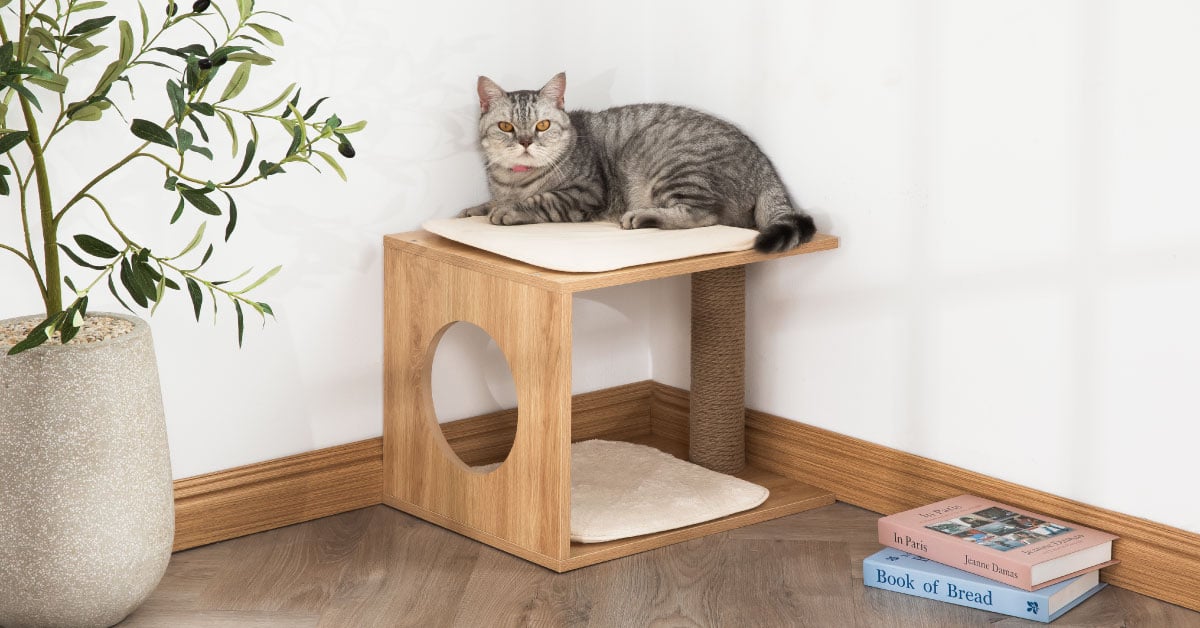 Cat Scratcher and Tree – Durable Scratching Post & Activity Tree for Healthy Cats 2 Cat Scratcher and Tree – Durable Scratching Post & Activity Tree for Healthy Cats