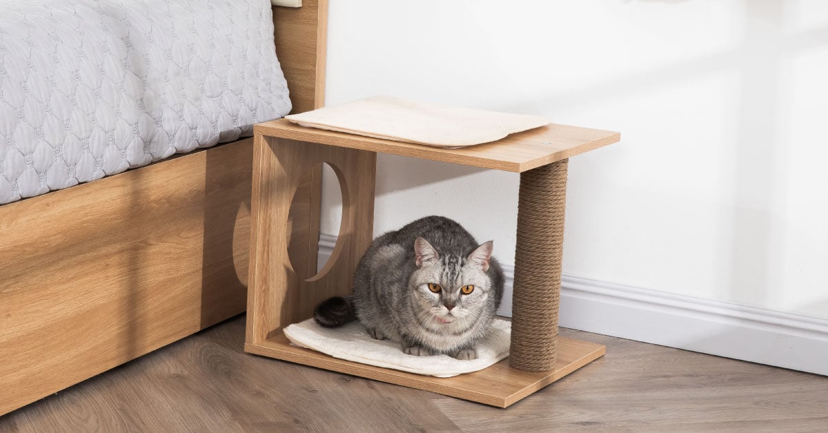 Cat Scratcher and Tree – Durable Scratching Post & Activity Tree for Healthy Cats 3 Cat Scratcher and Tree – Durable Scratching Post & Activity Tree for Healthy Cats